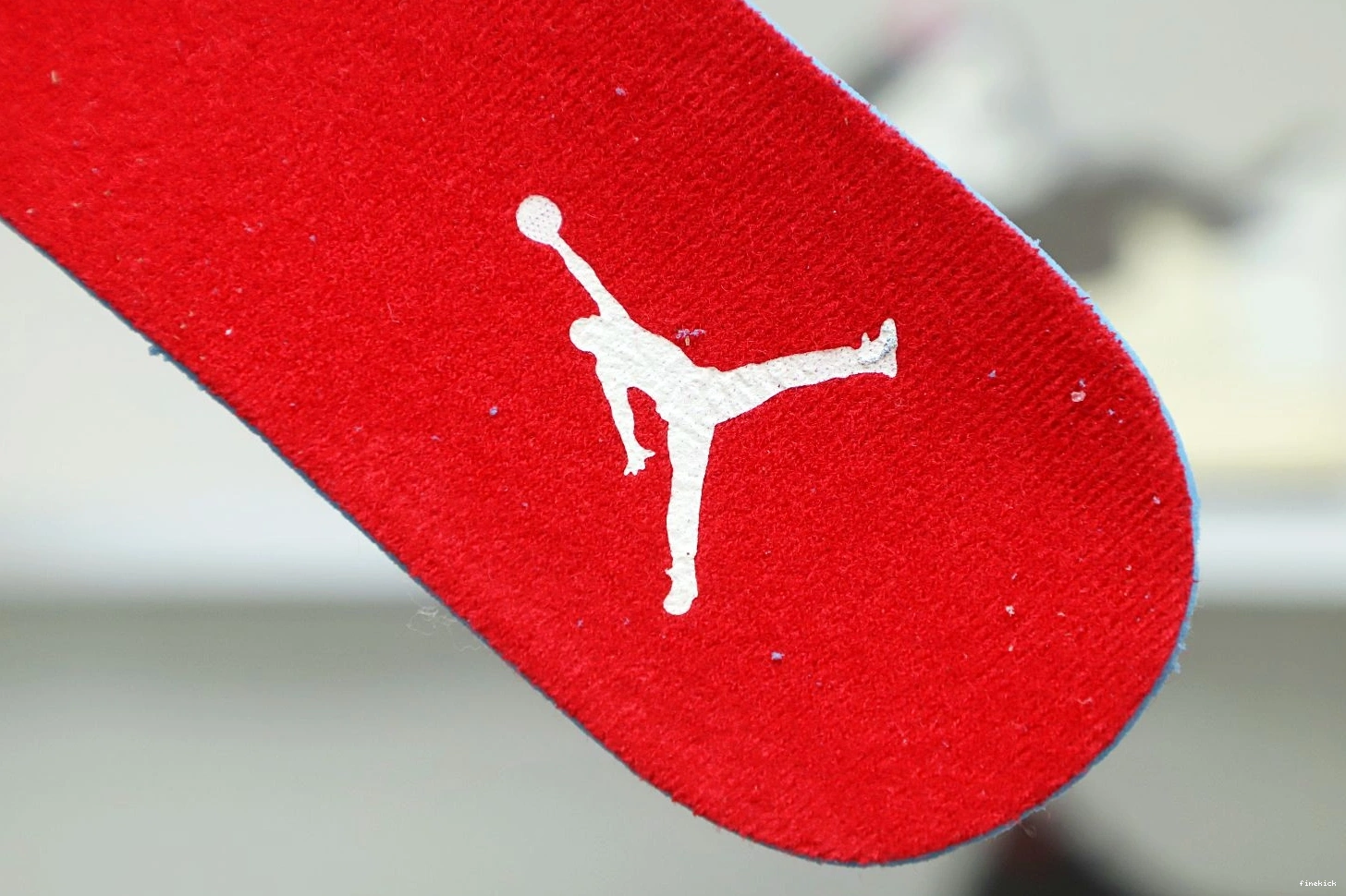 GS 'WILD THINGS' RETRO JORDAN AIR 4 0105